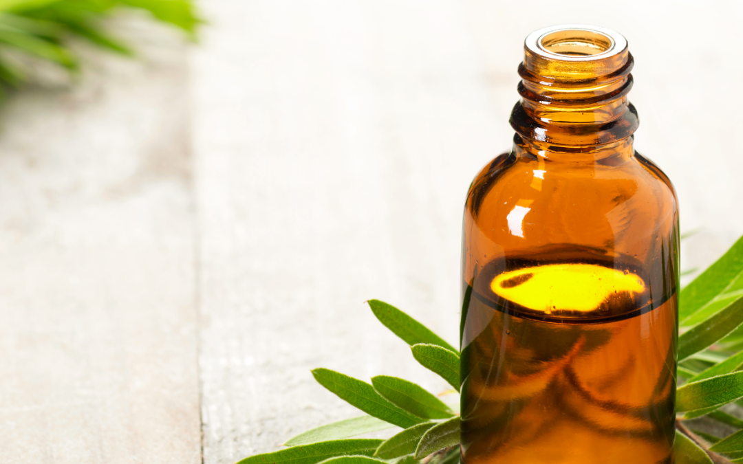 Tea Tree Oil: 5 Amazing Benefits, Uses, and Risks