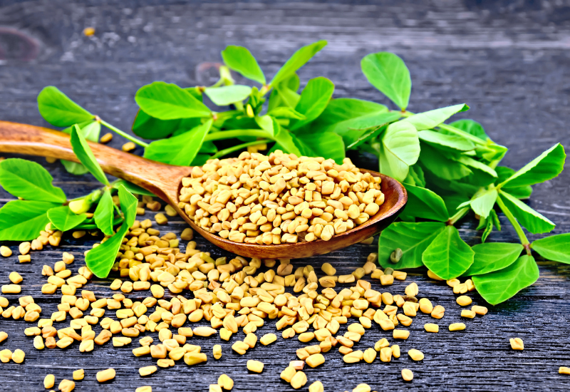 fenugreek seeds and leaves<br />
