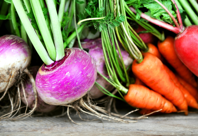 root vegetables - turnip, carrots, beetroot