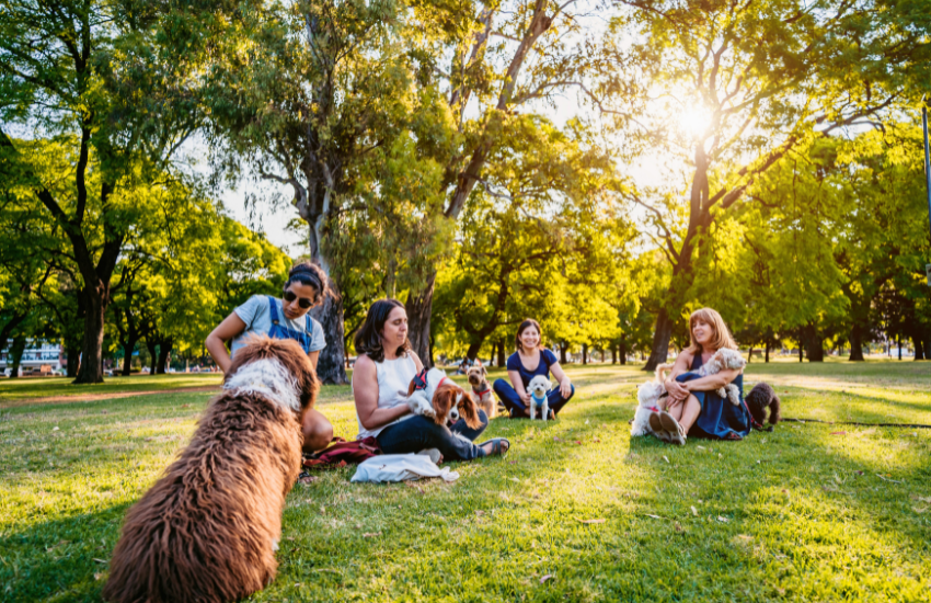 Untitled design (8) people chatting with eachother in the park and playing with their dogs