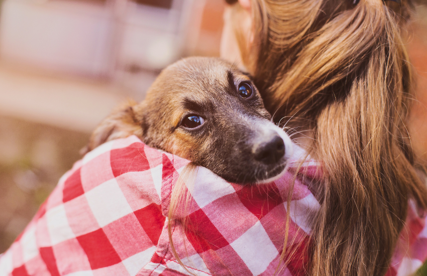 Untitled design (9) a girl with a adopted puppy on her shoulder