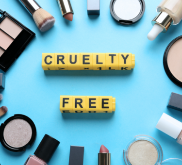 cruelty free cosmetics spread on a table