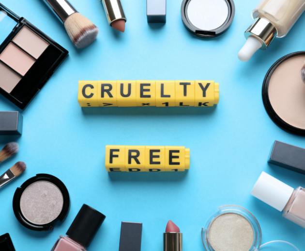 cruelty free cosmetics spread on a table